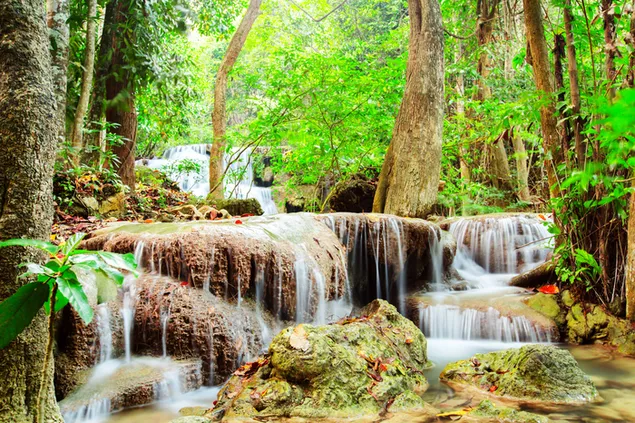 Air Terjun di Hutan unduhan