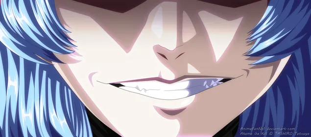 Akame Ga Kill! - אסמוות 2K טפט