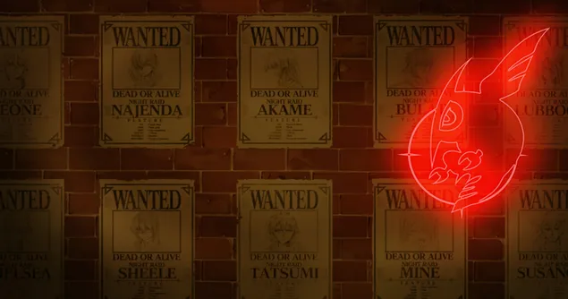 Akame Ga Kill - פשיטה לילה 2K טפט