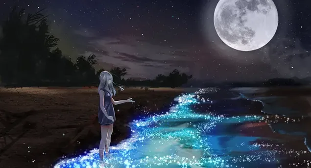 Ensam flicka titta på vacker havsblixt i månnatten HD bakgrund