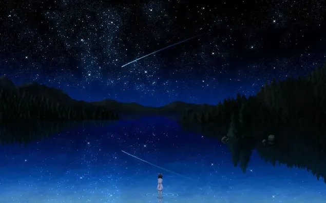 Alone girl watching night Shooting Star 