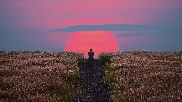 Tapeta Sám chlap sleduje krásnou přírodu západu slunce 4K