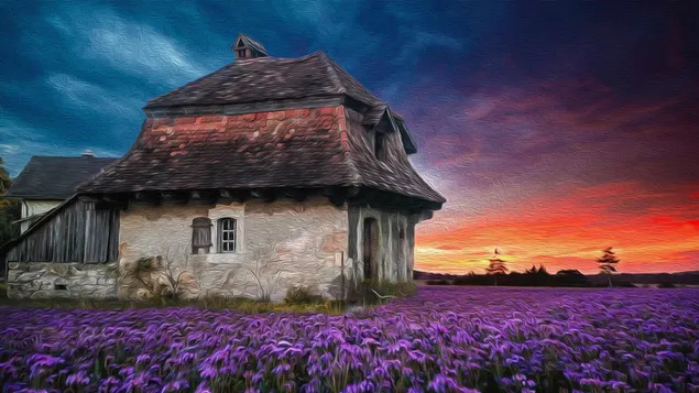 Altes Haus auf dem Lavendelgebiet