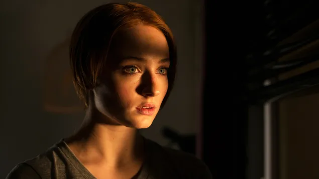 udivitel'naya znamenitost' <<sofi terner>> | amerikanskaya aktrisa skachat'