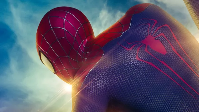 Amazing Spider man backside view