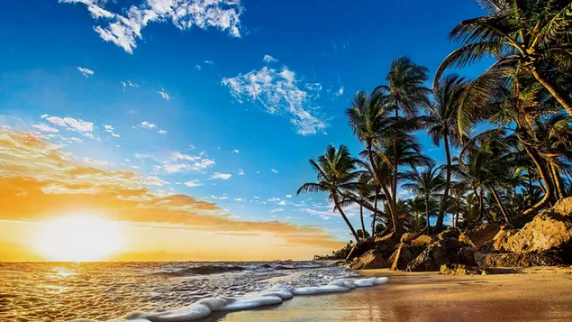 Geweldige zonsopgang aan het strand met blauwe lucht download