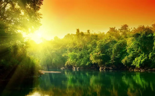 アマゾンの熱帯雨林の日当たりの良い湖の眺め 2K 壁紙