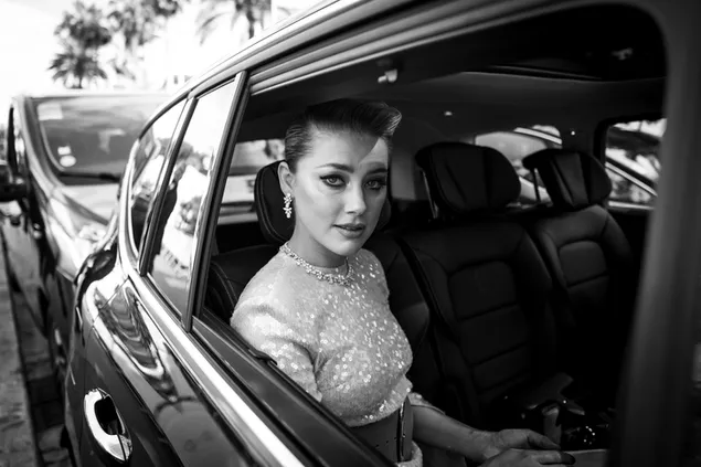 العنبر هيرد | التقطت الصور في كان (أحادية اللون BG) 4K خلفية