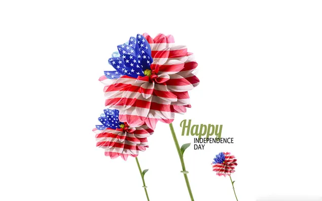 American Flag Design Flower download