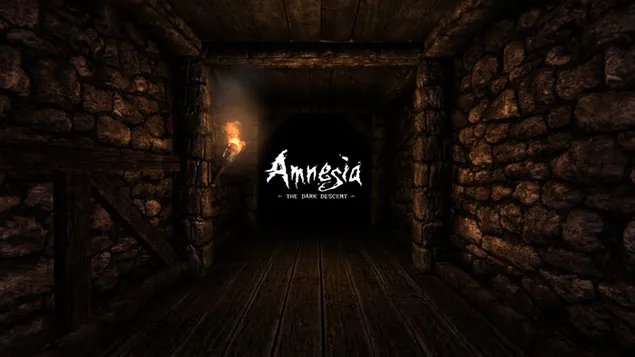 Amnesia: The Dark Descent Game HD วอลเปเปอร์