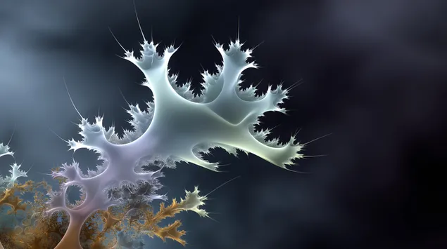 ngzrt mvrpyt byqvm hdndryty hvrd