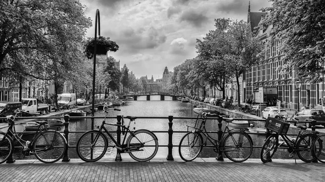 Amsterdam, Hà Lan, thành phố, cảnh quan thành phố, màu đen và trắng, giao thông vận tải