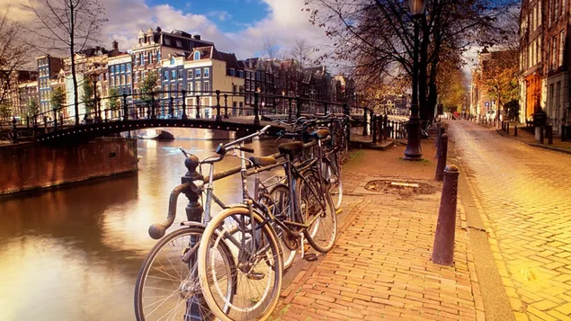 Amsterdam, Nederland, kanaal, stadsgezicht, straat, fiets, vervoer 2K achtergrond