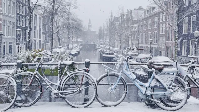 Amsterdam, niederlande, winter, schnee, fahrräder, fahrrad, europa