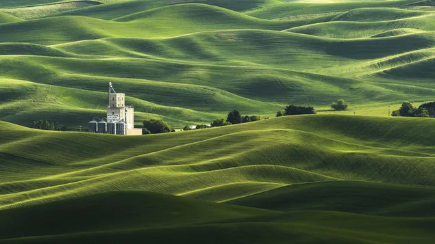 一种建筑结构，树木在迷人的自然景观中，披着绿色的覆盖物 2K 壁纸