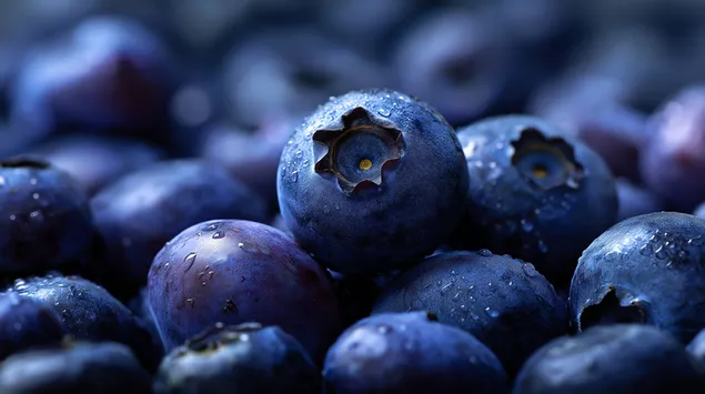 Tapeta Extrémny detailný záber na kypré, trblietavé čučoriedky pokryté drobnými kvapôčkami vody 2K