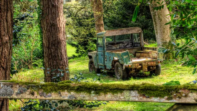 Un vell vehicle de viatge blau abandonat al bosc baixada