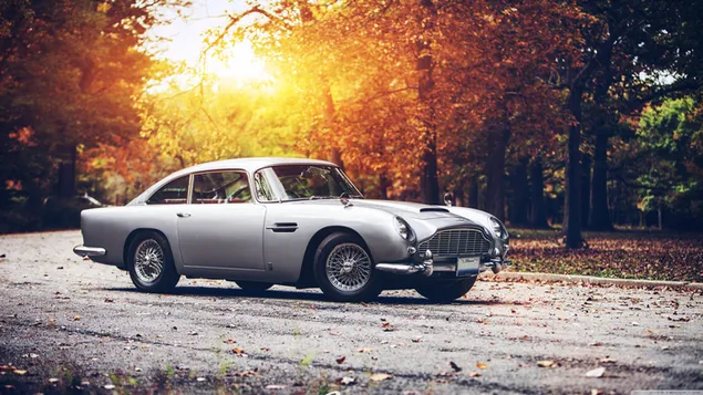 An old classic car in the red of the sun and autumn leaves in the autumn landscape download