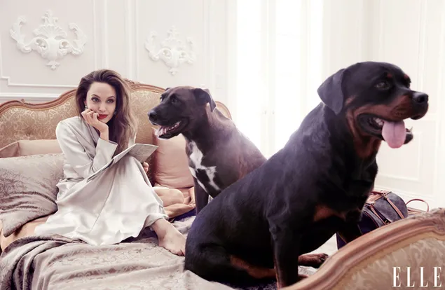 'Angelina Jolie' in fotoshoot Elle Magazine download