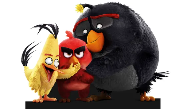 Angry birds - Red's squad