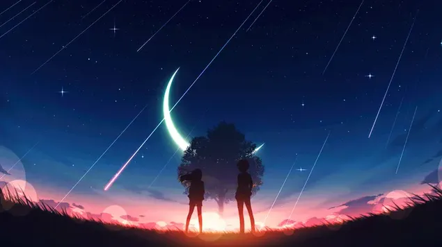 Anime Couples watching shooting stars
