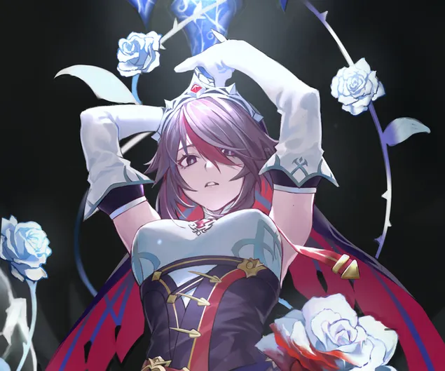 动漫女孩罗莎里奥 | 原神冲击 4K 壁纸