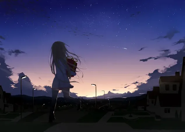 Anime girl walk alone in dark evening 