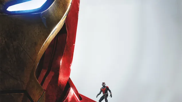 Ant-Man Standing  Over Iron Man's Sholder 