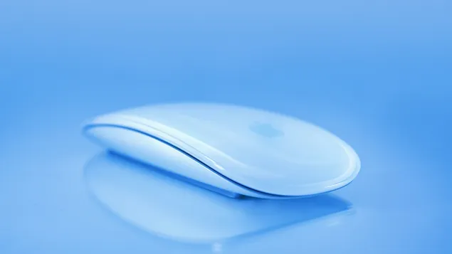 애플 무선 마우스 HD 배경화면