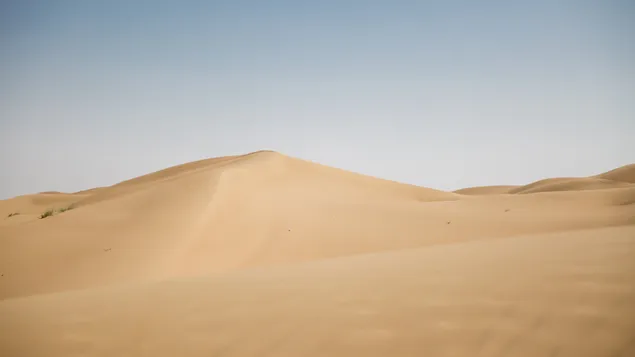 アラビア砂漠
