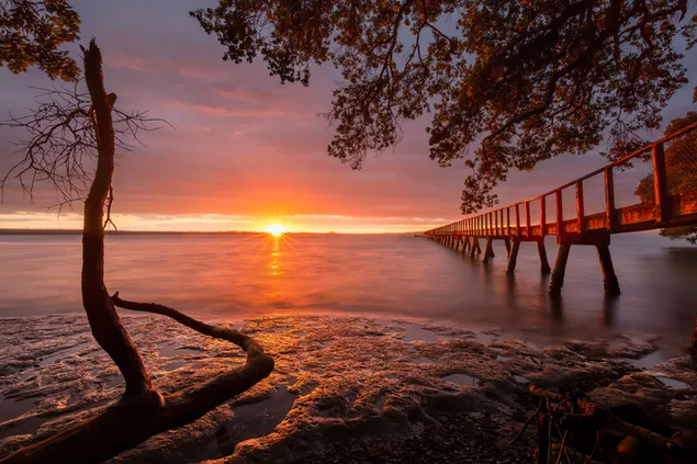 Árbol seco y puente de madera bajo el sol rojo que se refleja en el mar al atardecer