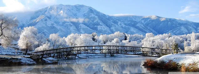 Árboles nevados al pie de montañas nevadas y reflejo del puente de madera en el agua