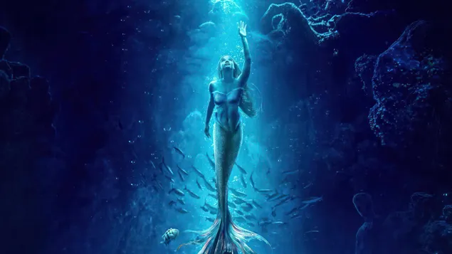 Lai Zi Xiao Mei Ren Yu Dian Ying De Ai Li Er Xia Zai