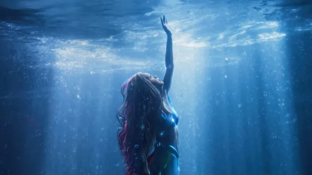 Xiao Mei Ren Yu Ai Li Er (Ha Li Bei Li Shi )Xia Zai