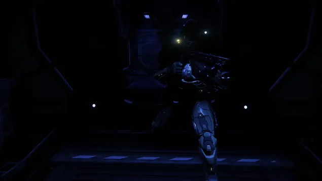 星際公民的陸軍狙擊手 4K 壁紙