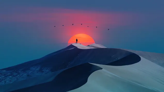 artistic, desert, landscape, full moon, red, human, bird, bird shape, cloud, sky, scarlet