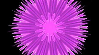 Floarea artistică #6 HD imagine de fundal