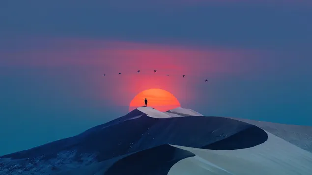 Muat turun Matahari terbenam yang artistik di padang pasir
