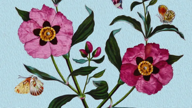 Artistiek schilderij van roze bloemen en vlinder