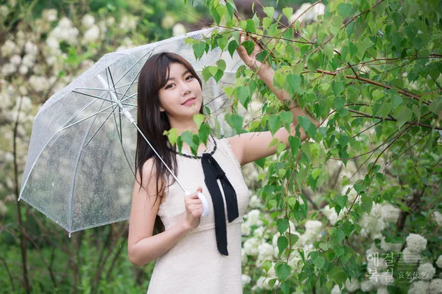 สาวเอเชียถือร่มที่มีพื้นหลังเป็นพืช 4K วอลเปเปอร์