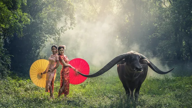 Wanita Asia berpose di hutan dengan payung kuning dan merah unduhan