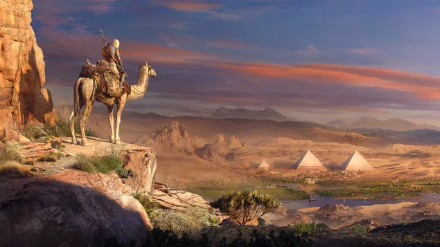 Assasin's Creed, Warrior en Camel