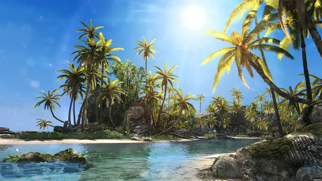 Assassin's Creed IV Black Flag-afbeelding ziet eruit als een echte palm en rivier