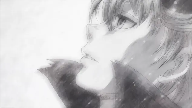 Ταπετσαρία Άστα - Μαύρο τριφύλλι 2K