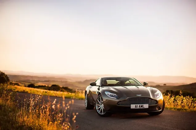 Aston Martin, un maravilloso coche deportivo de diseño de color marrón estacionado en la carretera cuando hace sol