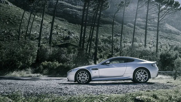 'Aston Martin V8 Vintage' luxe sportwagen