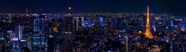 Astonishing city view in the night download