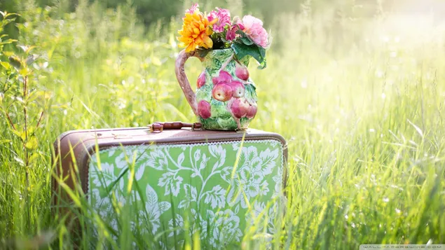 Häpnadsväckande natur bakgrund 2K bakgrund