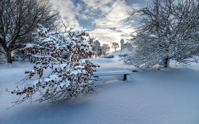 Impresionante vista del paisaje invernal 2K fondo de pantalla