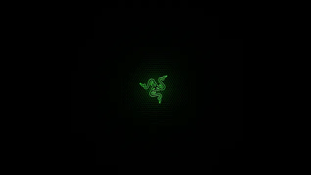 'Asus Razer' glødende logo download